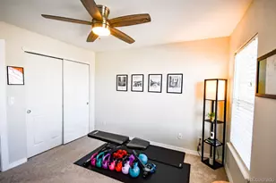 479 Black Feather Loop, Castle Rock, CO 80104 - Photo 17