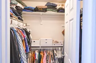 479 Black Feather Loop, Castle Rock, CO 80104 - Photo 23