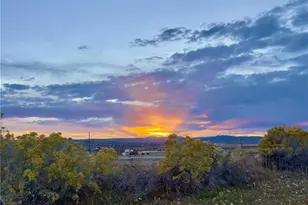 479 Black Feather Loop, Castle Rock, CO 80104 - Photo 29