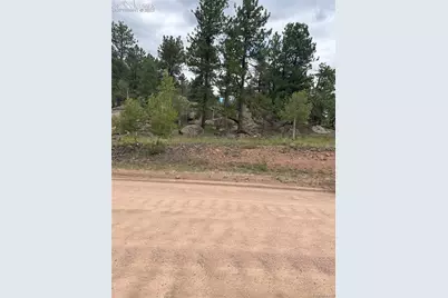 155 County Road 403, Florissant, CO 80816 - Photo 7