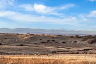 1251 Buffalo Ridge Rd, Castle Pines, CO 80108 - Photo 47