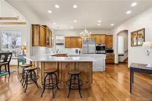1251 Buffalo Ridge Rd, Castle Pines, CO 80108 - Photo 9