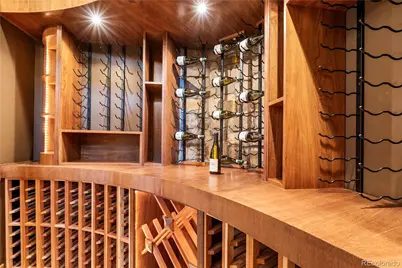 1251 Buffalo Ridge Road, Castle Pines, CO 80108 - Photo 43