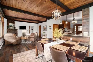 28433 Kinnikinnick Road, Evergreen, CO 80439 - Photo 3