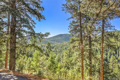 32857 Little Cub Road, Evergreen, CO 80439 - Photo 9