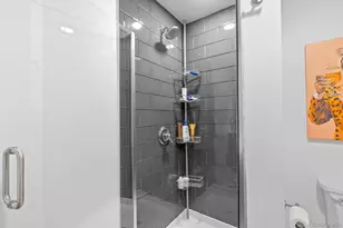 925 N Lincoln Street, Denver, CO 80203 - Photo 31