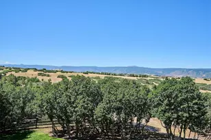2464 W Wolfensberger Rd, Castle Rock, CO 80109 - Photo 47