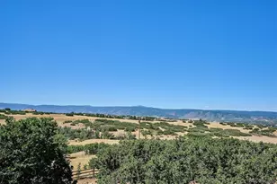 2464 W Wolfensberger Rd, Castle Rock, CO 80109 - Photo 45
