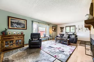 7950 Hillview St, Parker, CO 80134 - Photo 11