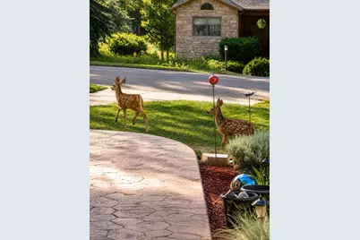 7950 Hillview Street, Parker, CO 80134 - Photo 45