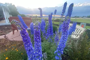 3897 Mallard Ln, Highlands Ranch, CO 80126 - Photo 41