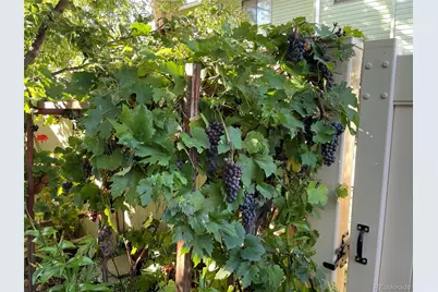 2029 Gyros Circle #164, Lafayette, CO 80026 - Photo 19