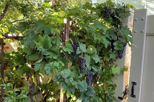 2029 Gyros Cir, Lafayette, CO 80026 - Photo 19