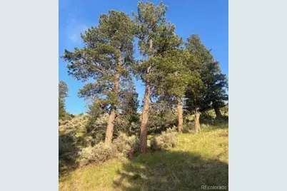 Lot 4630 Spring Road, Fort Garland, CO 81133 - Photo 19