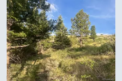 Lot 4630 Spring Road, Fort Garland, CO 81133 - Photo 15