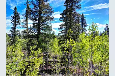 75 Swiggler Road, Jefferson, CO 80456 - Photo 23