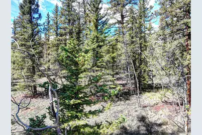75 Swiggler Road, Jefferson, CO 80456 - Photo 27