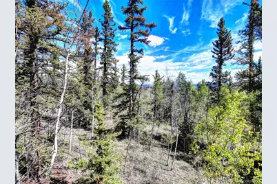 75 Swiggler Road, Jefferson, CO 80456 - Photo 29