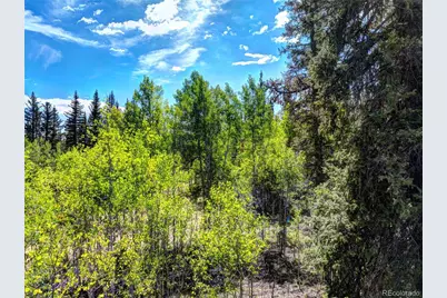 75 Swiggler Road, Jefferson, CO 80456 - Photo 19
