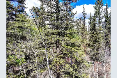 75 Swiggler Road, Jefferson, CO 80456 - Photo 31