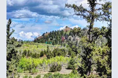 75 Swiggler Road, Jefferson, CO 80456 - Photo 35