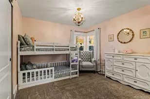 12836 S Silver Plume St, Parker, CO 80134 - Photo 27