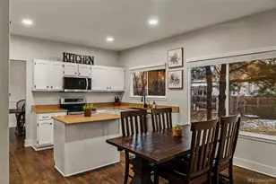 12836 S Silver Plume St, Parker, CO 80134 - Photo 11