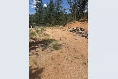 110 Brown Bear Lane, Cripple Creek, CO 80813 - Photo 3