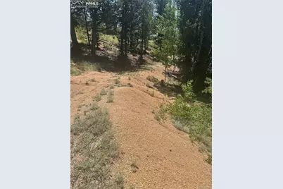 110 Brown Bear Lane, Cripple Creek, CO 80813 - Photo 5