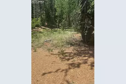 110 Brown Bear Lane, Cripple Creek, CO 80813 - Photo 7