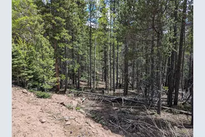 3159 Purnell Lane, Fort Garland, CO 81133 - Photo 3