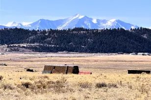 1561 Hinsdale Rd, Hartsel, CO 80449 - Photo 1