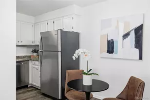 1243 Gaylord Street, Denver, CO 80206 - Photo 9