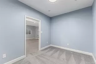 2860 Emporia Ct, Denver, CO 80238 - Photo 41