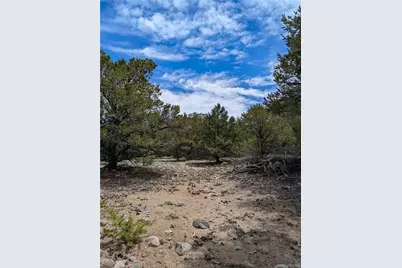 3825 Virtue Way, Crestone, CO 81131 - Photo 13