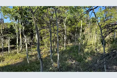 001 Peak View Drive, Black Hawk, CO 80422 - Photo 9