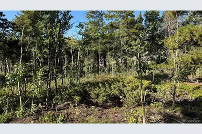 001 Peak View Drive, Black Hawk, CO 80422 - Photo 11