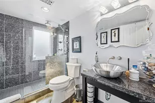 790 N Clarkson St, Denver, CO 80218 - Photo 29