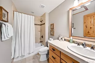 218 Windflower Ln, Frisco, CO 80443 - Photo 21