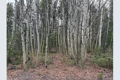 34251 Skyline Drive, Golden, CO 80403 - Photo 7