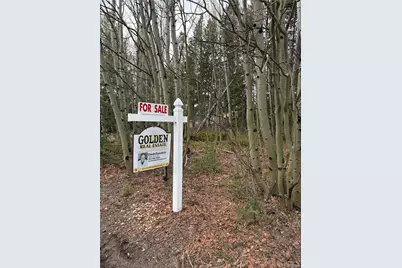 34251 Skyline Drive, Golden, CO 80403 - Photo 1