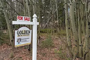 34251 Skyline Dr, Golden, CO 80403 - Photo 1