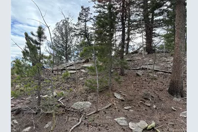 34251 Skyline Drive, Golden, CO 80403 - Photo 3