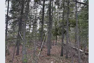 34251 Skyline Drive, Golden, CO 80403 - Photo 5