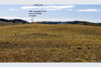 1245 Coochee Trail, Guffey, CO 80820 - Photo 15
