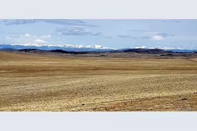 1245 Coochee Trail, Guffey, CO 80820 - Photo 7