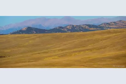 1245 Coochee Trail, Guffey, CO 80820 - Photo 11