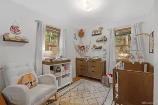 10 Rudi Ln W, Golden, CO 80403 - Photo 15