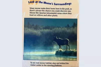 25 Aspen Drive, Walden, CO 80480 - Photo 39