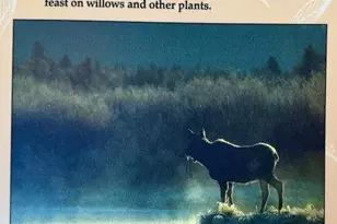 25 Aspen Dr, Walden, CO 80480 - Photo 39